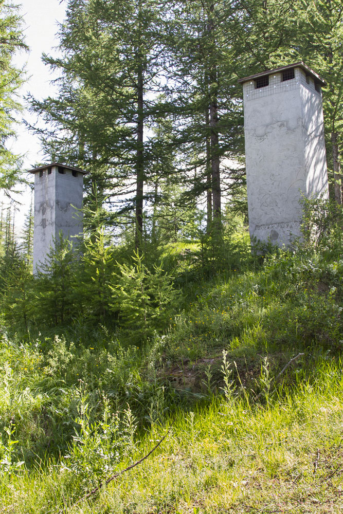 Ligne Maginot - BOIS DE SESTRIERES 10 - (Abri) - L'entrée de droite est remblayée et le béton dépasse à peine du sol