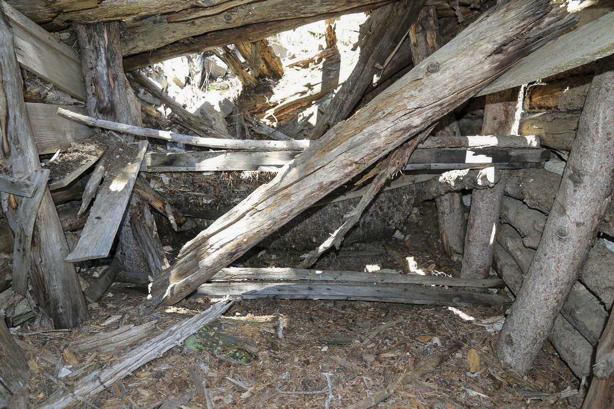 Ligne Maginot - CRETE DE LA PINEE 3 - (Abri) - La structure est encore en place, bien que ruinée