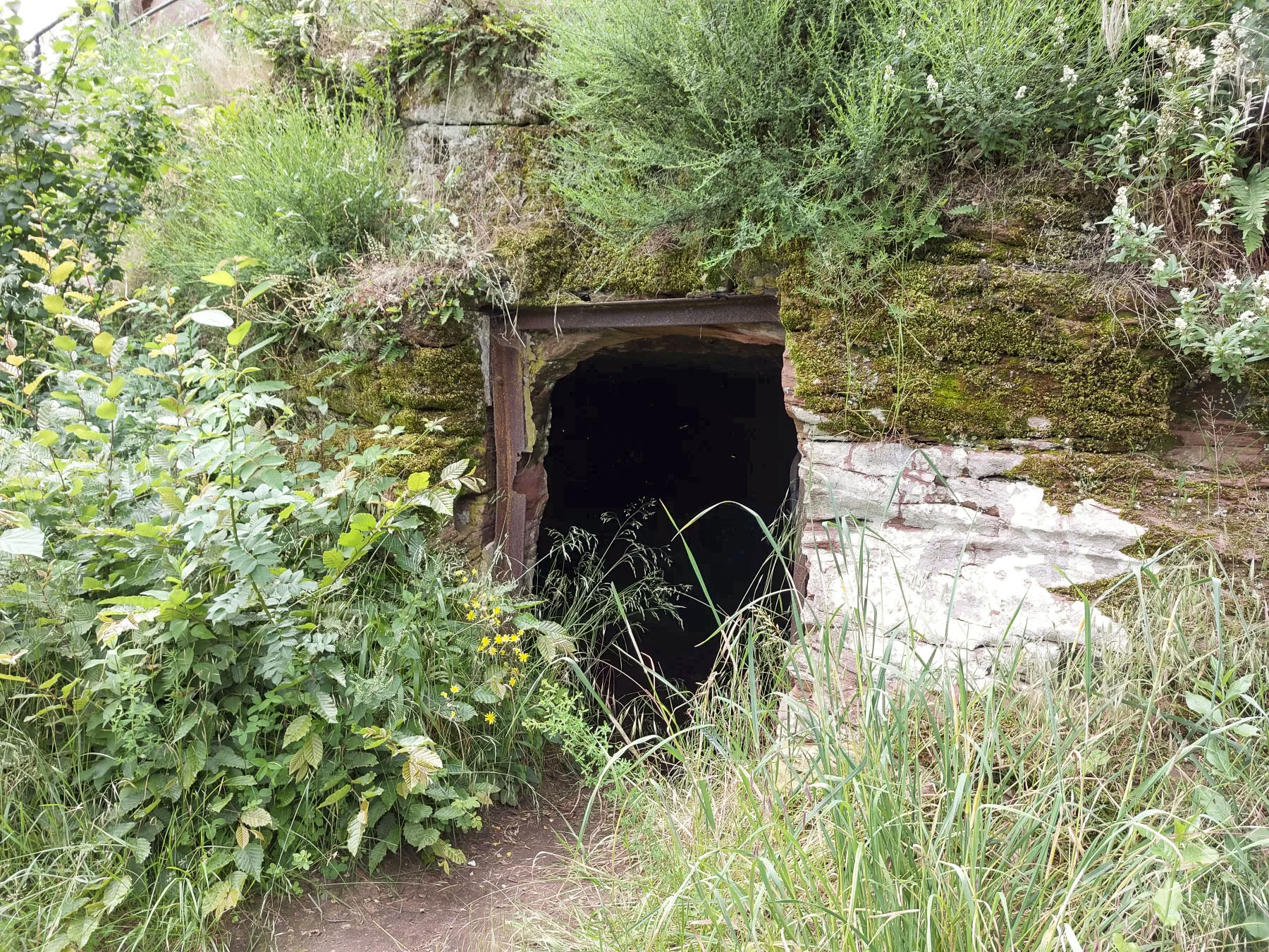Ligne Maginot - WALDECK - (Observatoire d'artillerie) - Réduit taillé dans le roc
L'entrée comportait une porte dont l'huisserie est encore présente