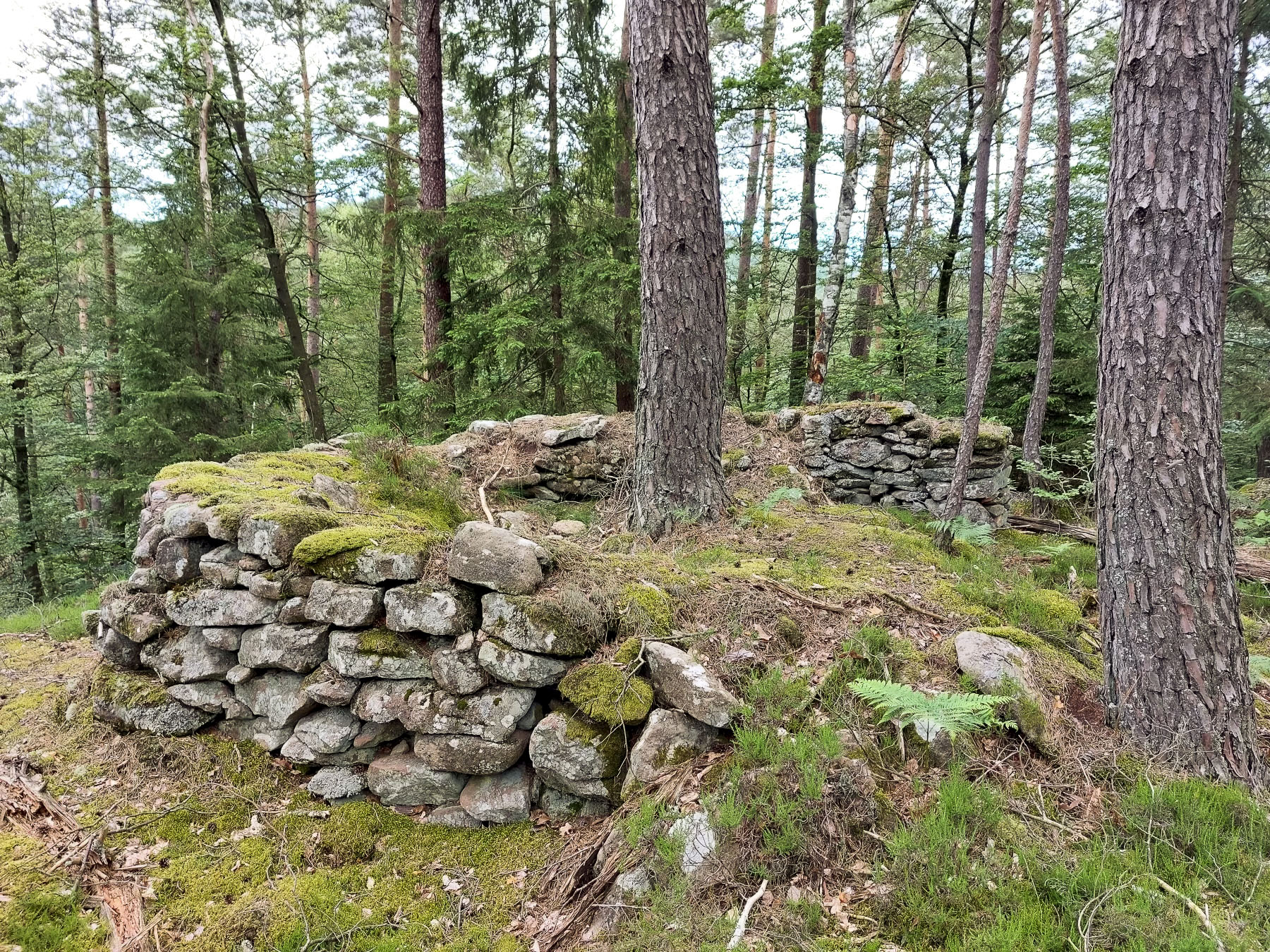 Ligne Maginot - LANDERSBERG OUEST - (Cuve pour arme d'infanterie) - Poste de tir en pierres sèches