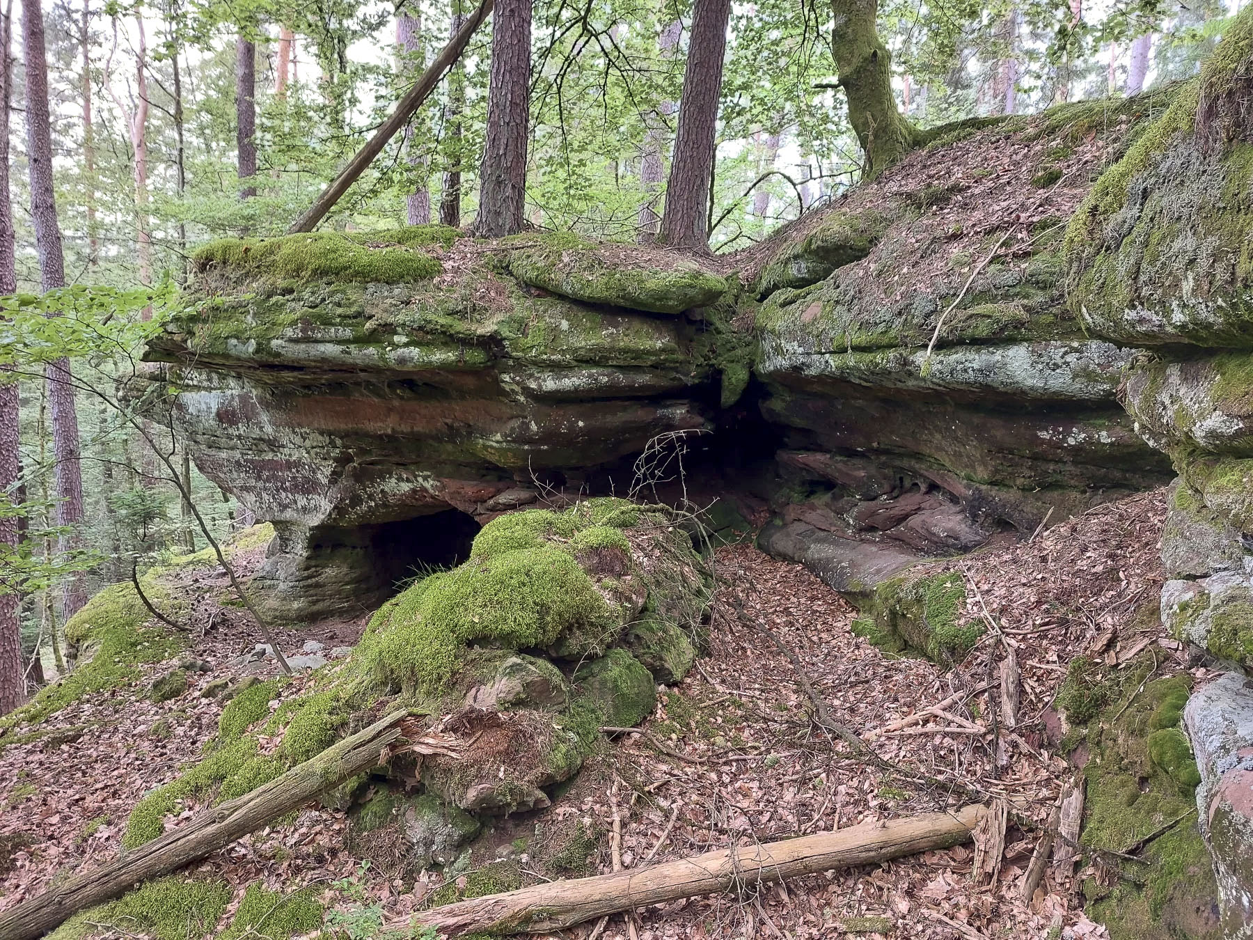 Ligne Maginot - LANDERSBERG OUEST - (Cuve pour arme d'infanterie) - Vestige d'un mur en pierres sèches 