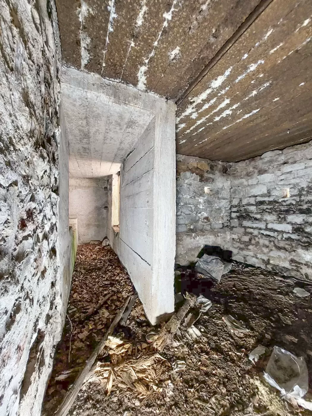 Ligne Maginot - DACHSECK 1 - (Blockhaus pour canon) - La partie annexe et la caponnière en moellons maçonnés
Au fond le blockhaus pour canon antichar