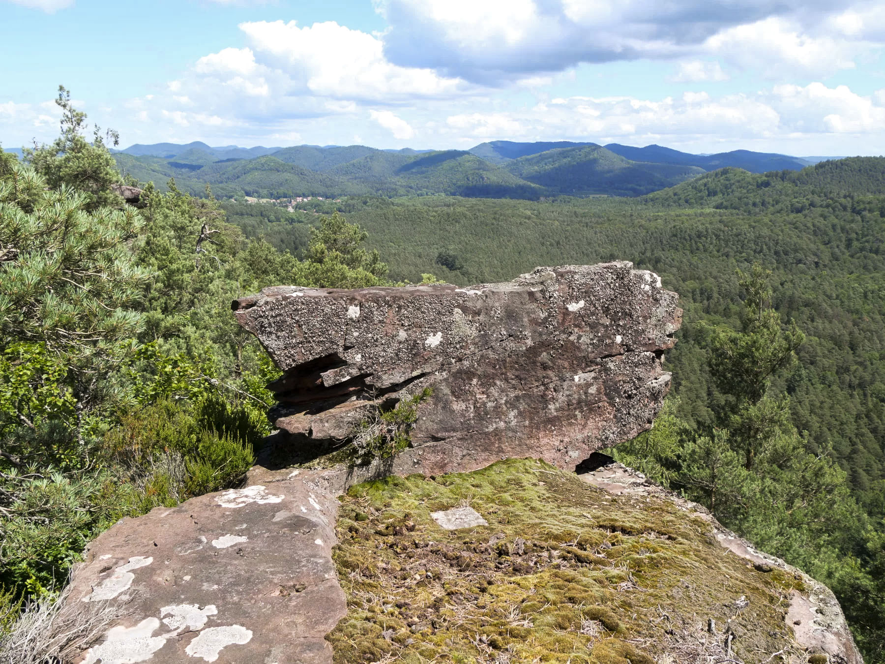 Ligne Maginot - FALKENBERG - (Observatoire d'artillerie) - Vue du poste d'observation bas 