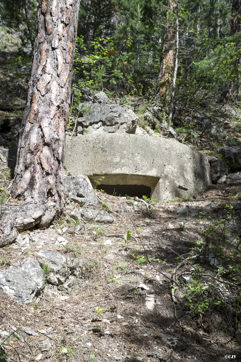 Ligne Maginot - LA PIGNEE 1 - (Blockhaus pour arme infanterie) - 