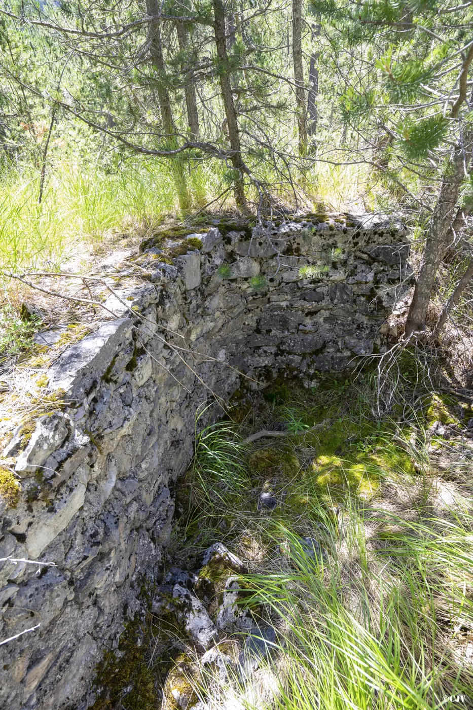 Ligne Maginot - LA PINATELLE 1 - (Blockhaus pour arme infanterie) - Mur à côté de l'entrée