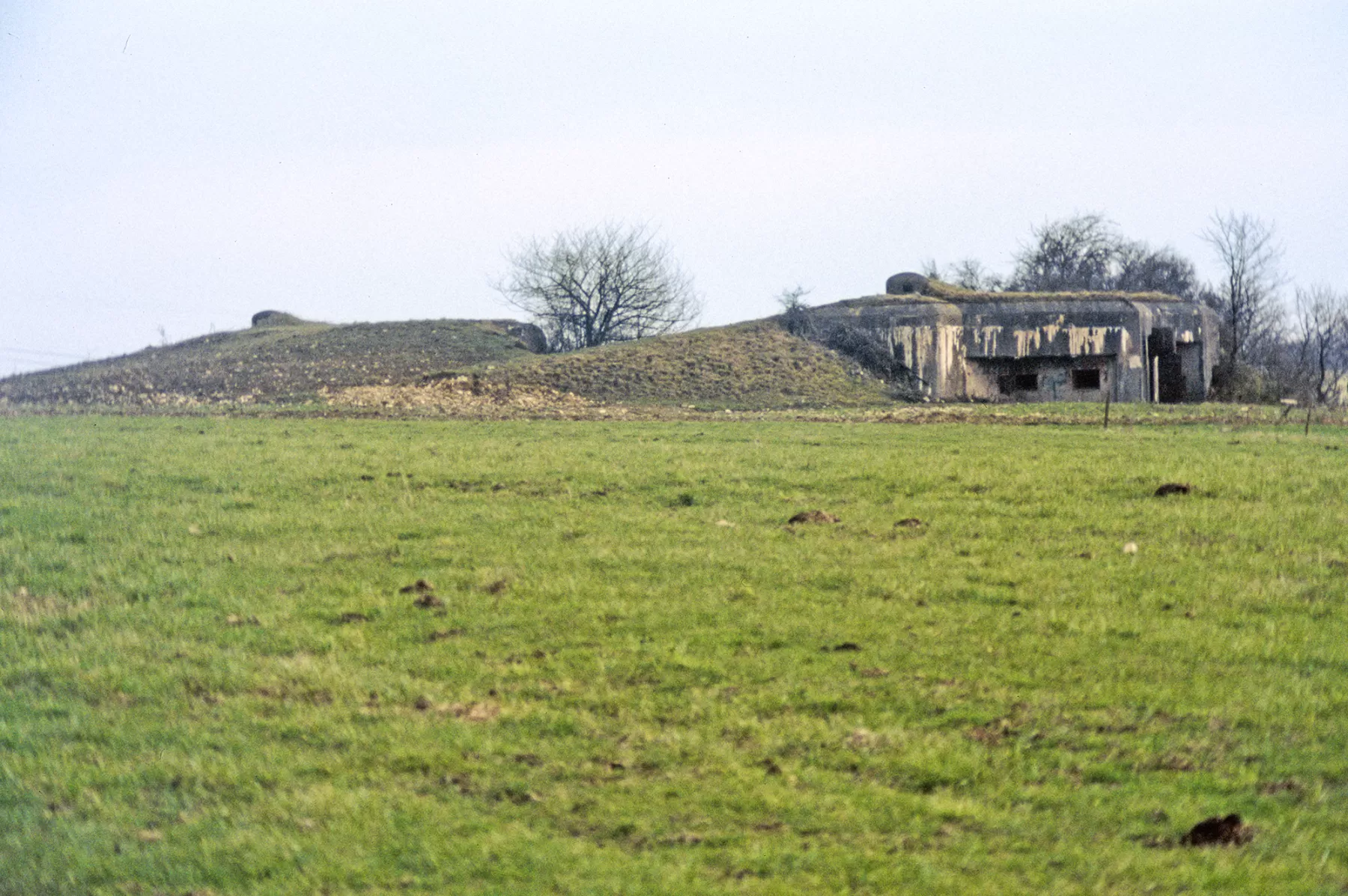 Ligne Maginot - BISTERBERG SUD III - C67 - (Casemate d'infanterie - Simple) - Les deux casemates de Bisterberg Sud