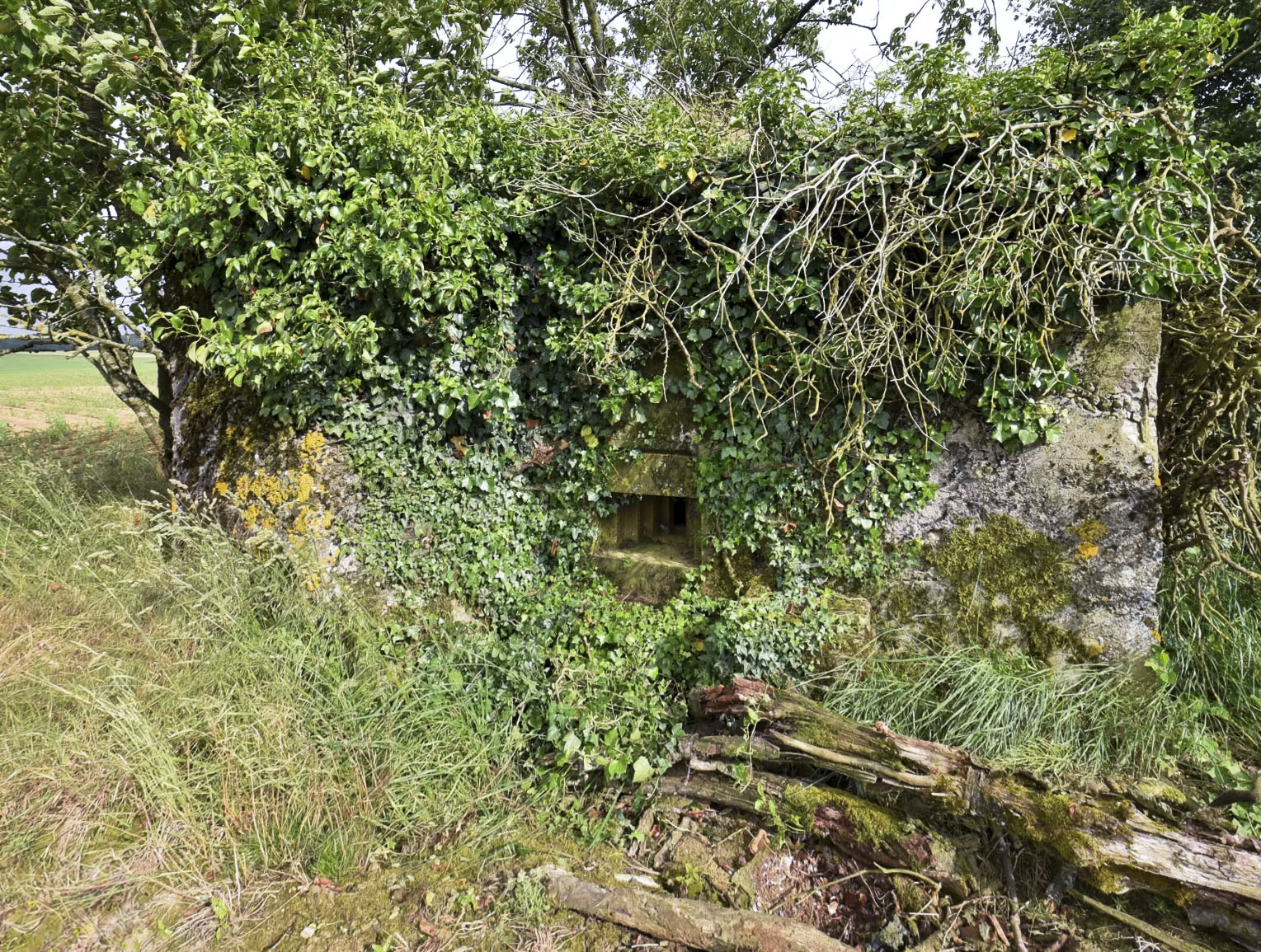 Ligne Maginot - SPIETZHUF EST - (Blockhaus pour arme infanterie) - 