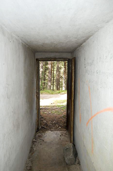 Ligne Maginot - LES SAGNES - (Abri) - 