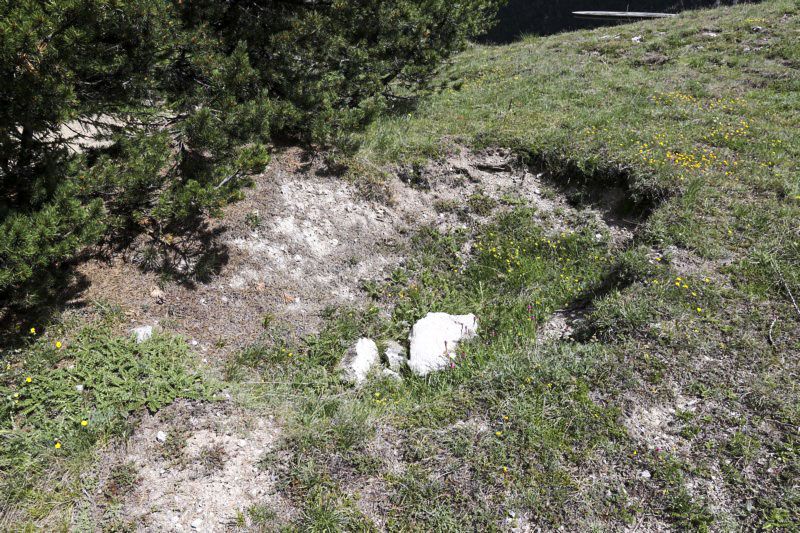 Ligne Maginot - MONT QUITAINE - (Observatoire indeterminé) - Excavation sur le sommet, arme d'infanterie probable