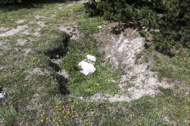Ligne Maginot - MONT QUITAINE - (Observatoire indeterminé) -  Excavation sur le sommet, arme d'infanterie probable