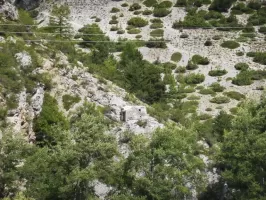 Ligne Maginot - CHATELET OUEST - (Blockhaus pour arme infanterie) - Vue d'ensemble