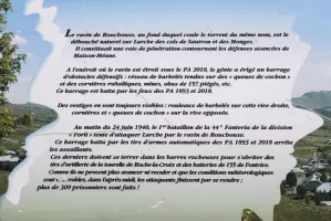 Ligne Maginot - RAVIN DE ROUCHOUSE - (Barrage de Route) -  