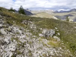 Ligne Maginot - CRÊTE DE LA BLANCHE 2 (POINT D'APPUI) - (Divers) - Cuve 4
Cuve double peut-être pour deux mortiers