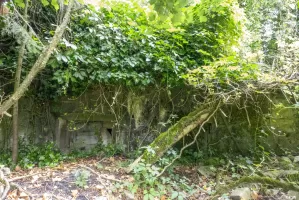 Ligne Maginot - DB308 - (Blockhaus pour canon) - Le blockhaus est entièrement recouvert d'arbustes