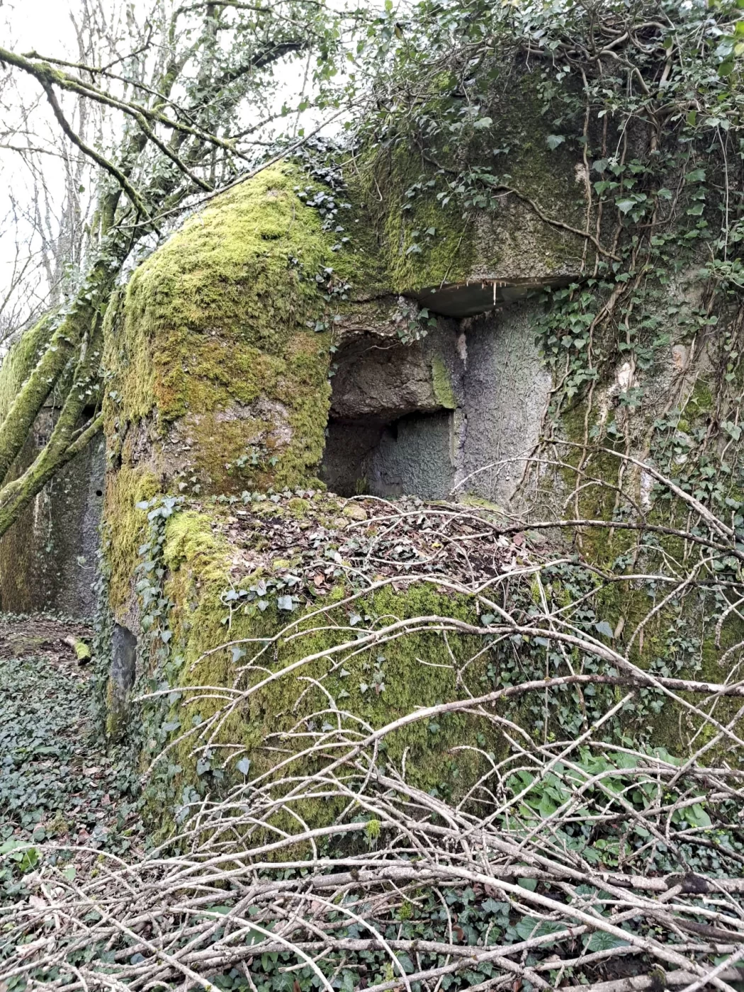 Ligne Maginot - ECOUVIEZ EST - (Casemate d'infanterie - Simple) - Niche pour projecteur
Vue rapprochée