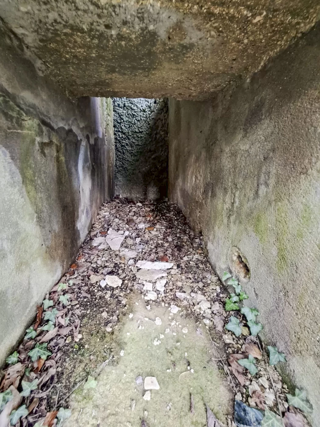 Ligne Maginot - ECOUVIEZ EST - (Casemate d'infanterie - Simple) - Gaine d'accès à la niche pour projecteur