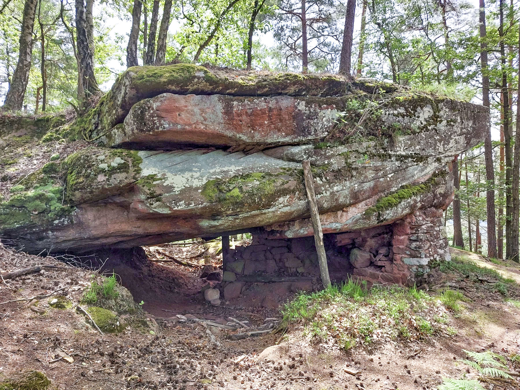 Ligne Maginot - ERBSENBERG - (Abri) - 