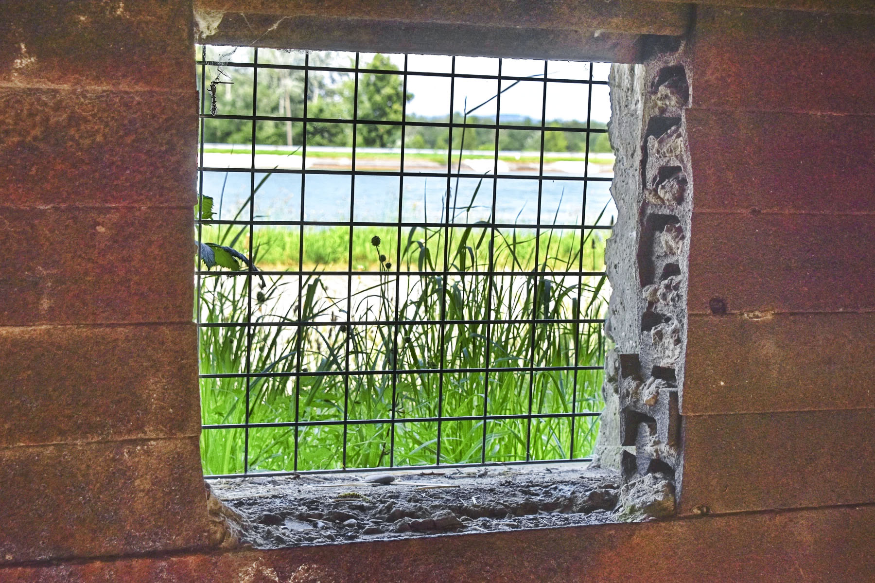 Ligne Maginot - VILLAGE-NEUF BERGE 3 - (Blockhaus pour arme infanterie) - Créneau et le renforcement de la façade frontale avec les rails. La grille est un rajout actuel