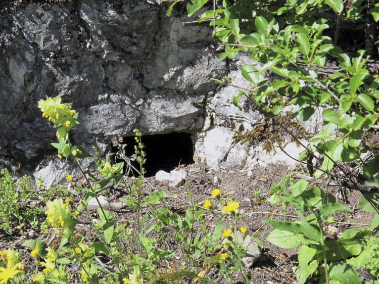 Ligne Maginot - CHATELET EST - (Blockhaus pour arme infanterie) - Le créneau