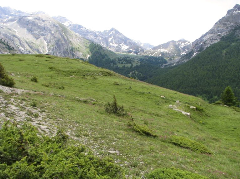 Ligne Maginot - FOUILLOUSE ABRI 2 - (Abri) - Vue d'ensemble
