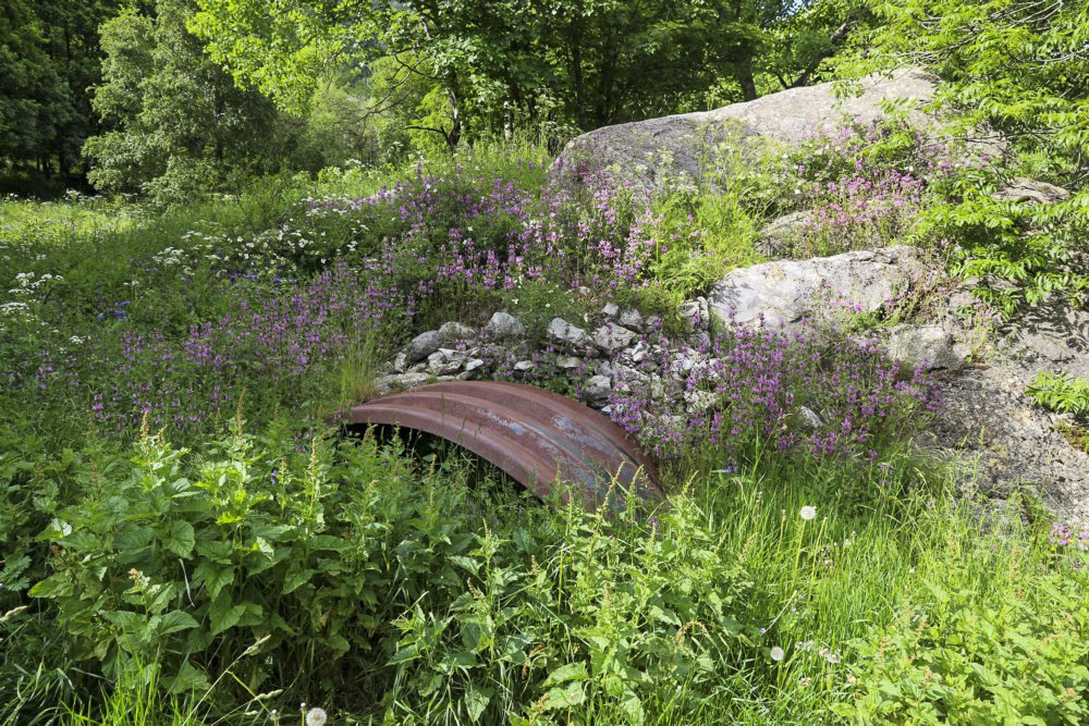 Ligne Maginot - LA BARGE - (Abri) -  Abri supérieur