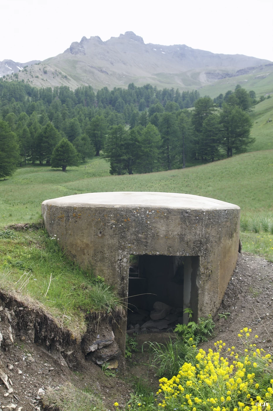 Ligne Maginot - PA DES SAGNES 1 - (Blockhaus pour arme infanterie) - L'entrée