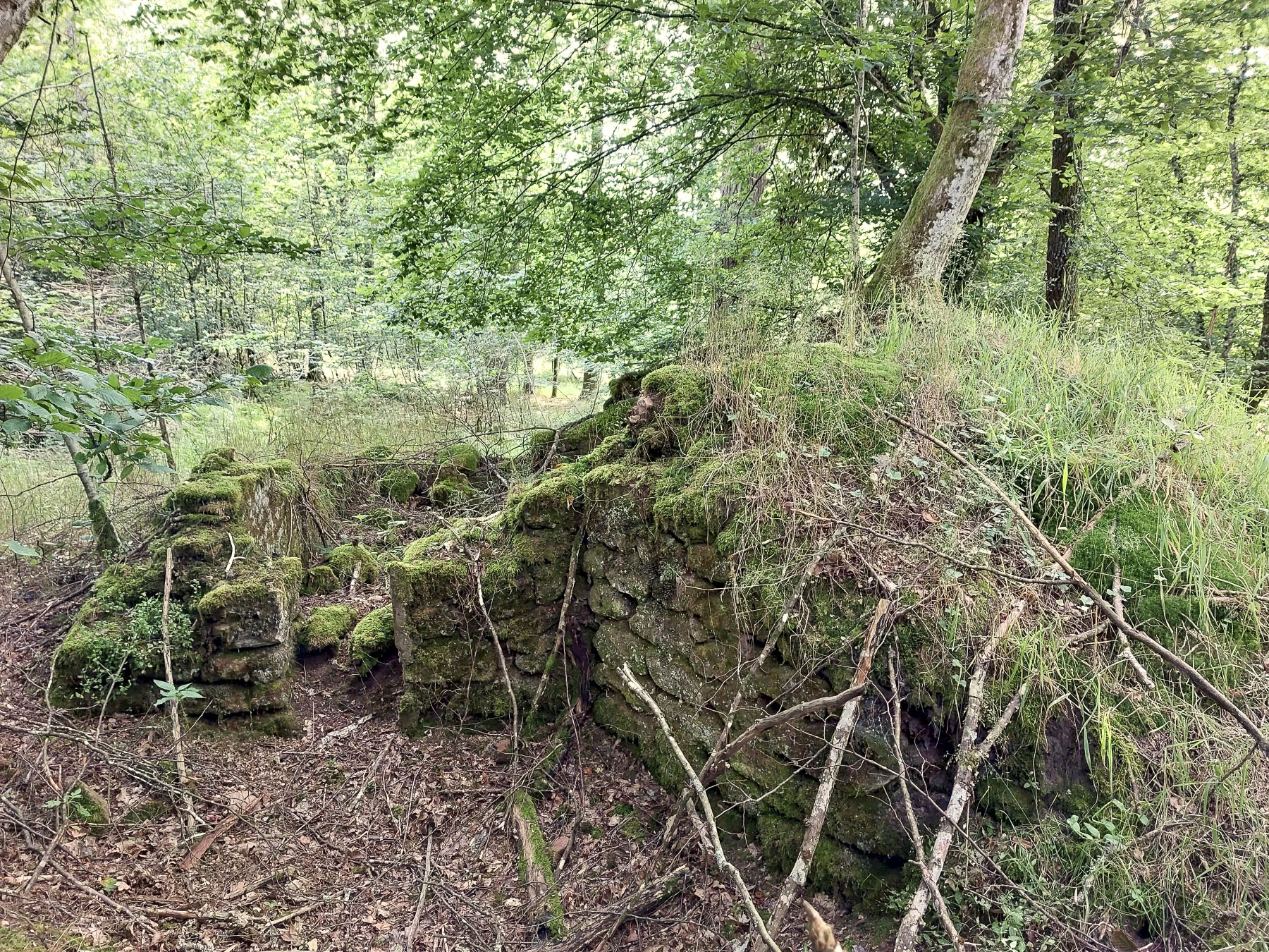Ligne Maginot - GLASBRONN 3 - (Blockhaus pour arme infanterie) - Les vestiges du blockhaus