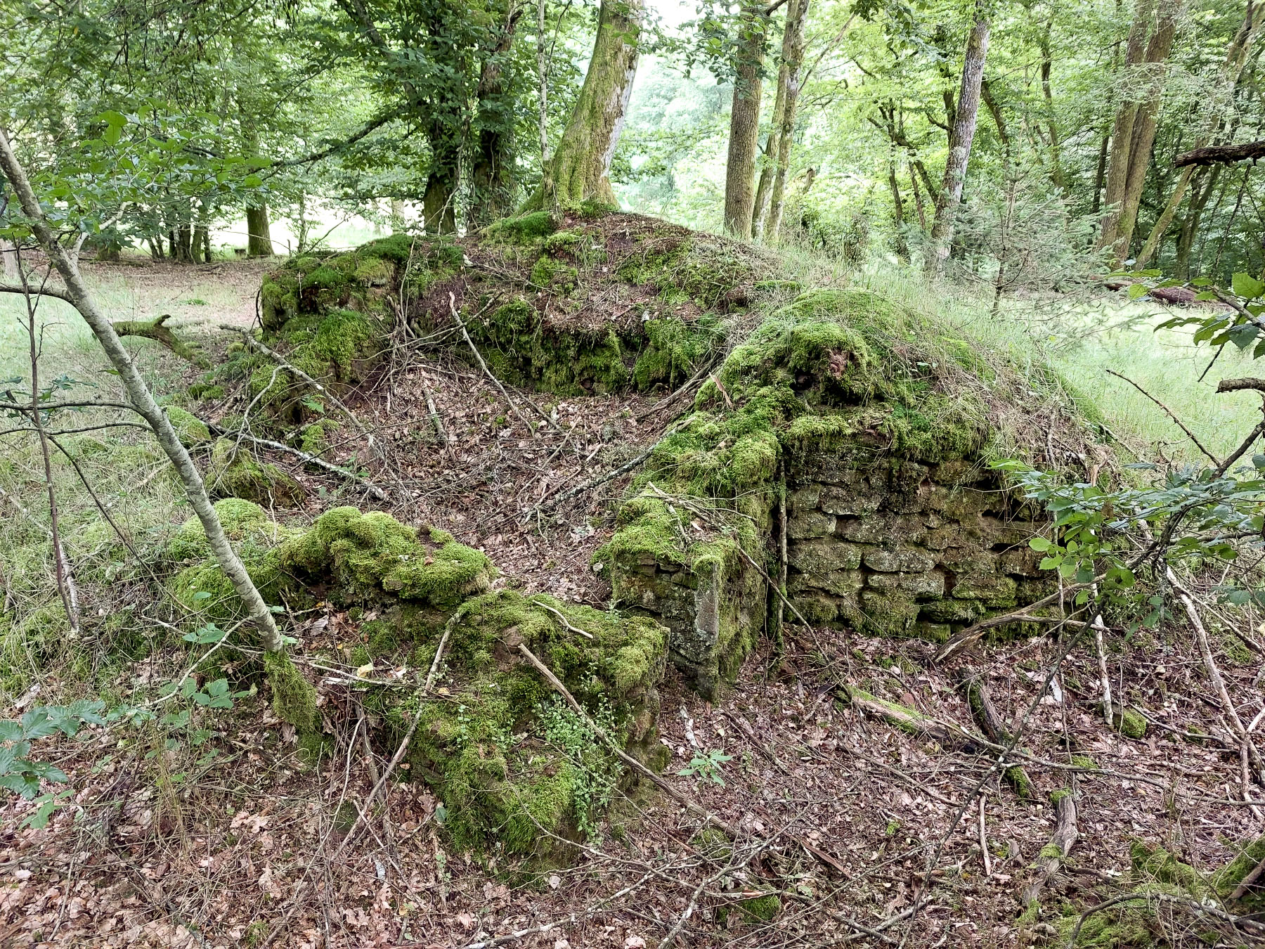 Ligne Maginot - GLASBRONN 3 - (Blockhaus pour arme infanterie) - Les vestiges du blockhaus
