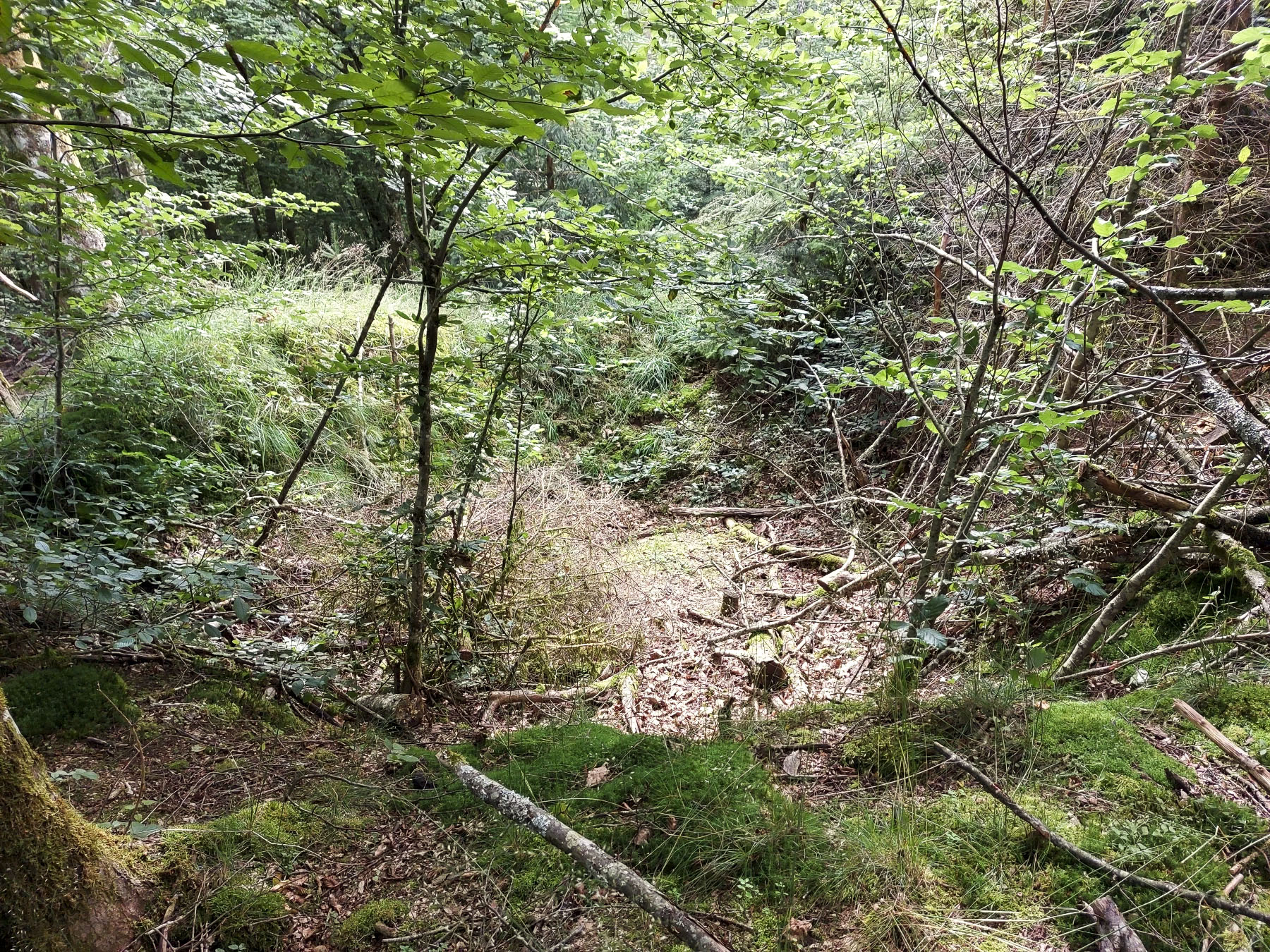 Ligne Maginot - GLASBRONN 3 - (Blockhaus pour arme infanterie) - Emplacement d'un abri derrière le blockhaus