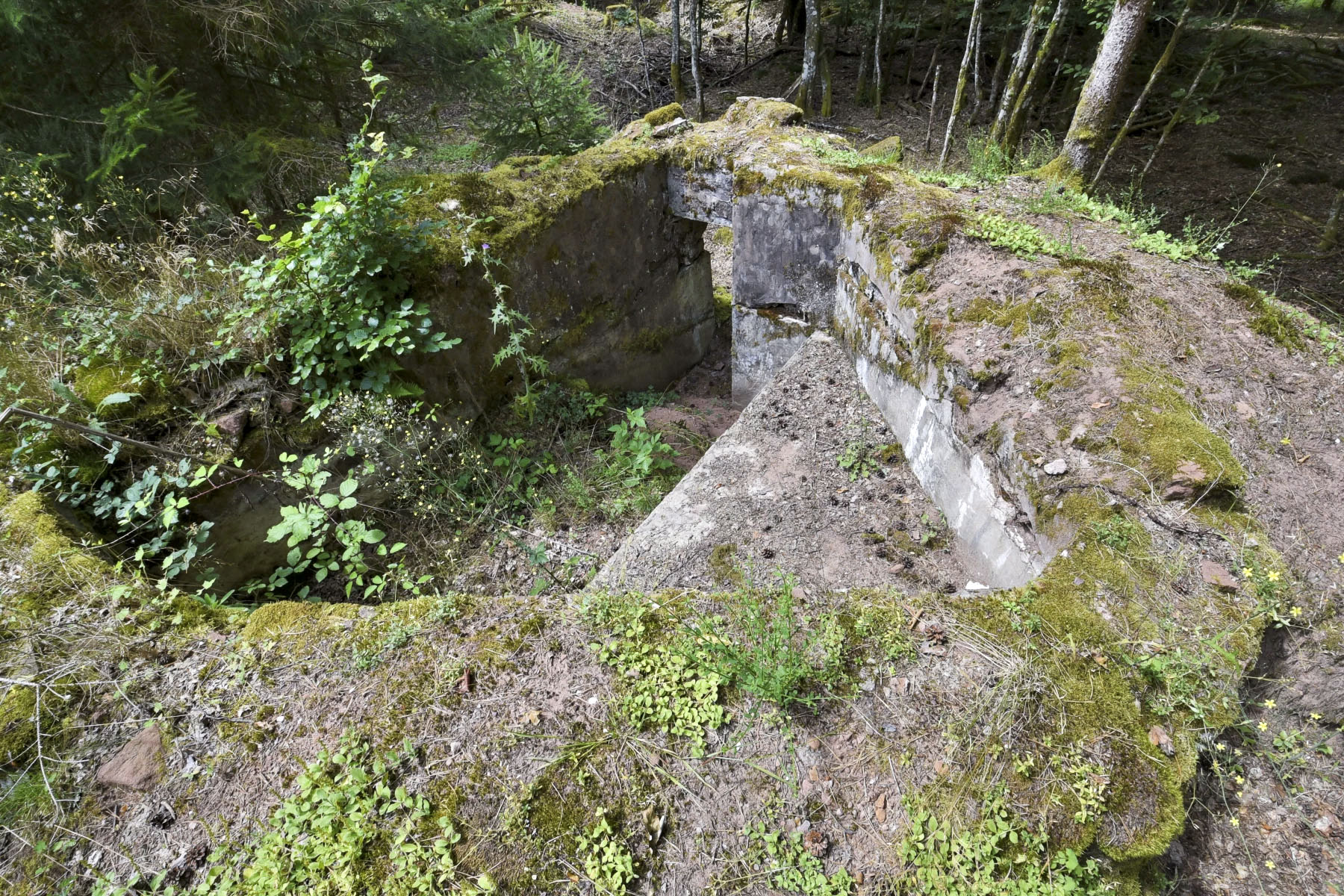 Ligne Maginot - KANDELBERG NORD - (Blockhaus pour arme infanterie) - 