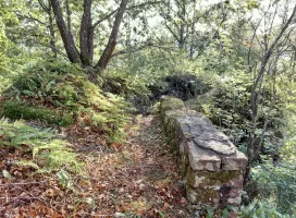 Ligne Maginot - ROTHENBOURG  CHATEAU - (Observatoire d'infanterie) - Accès à l'observatoire 