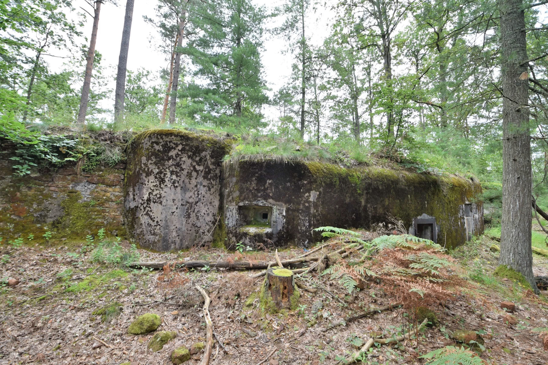 Ligne Maginot - MAIN DU PRINCE 2 - (Blockhaus pour arme infanterie) - La galerie bétonnée formant une façade arrière intégrée dans l'escarpement rocheux
