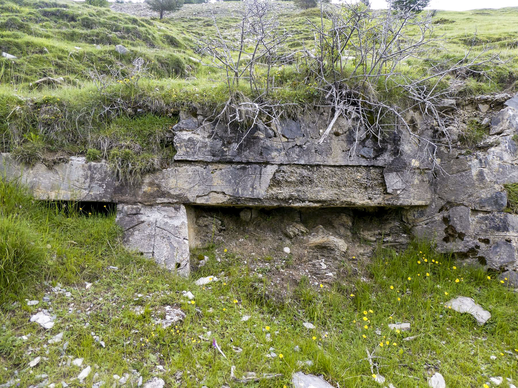 Ligne Maginot - CIME DE BACOUN - (Position d'artillerie préparée) - Emplacement