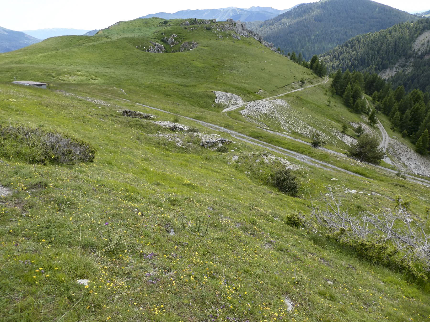 Ligne Maginot - CIME DE BACOUN - (Position d'artillerie préparée) - Emplacement des pièces