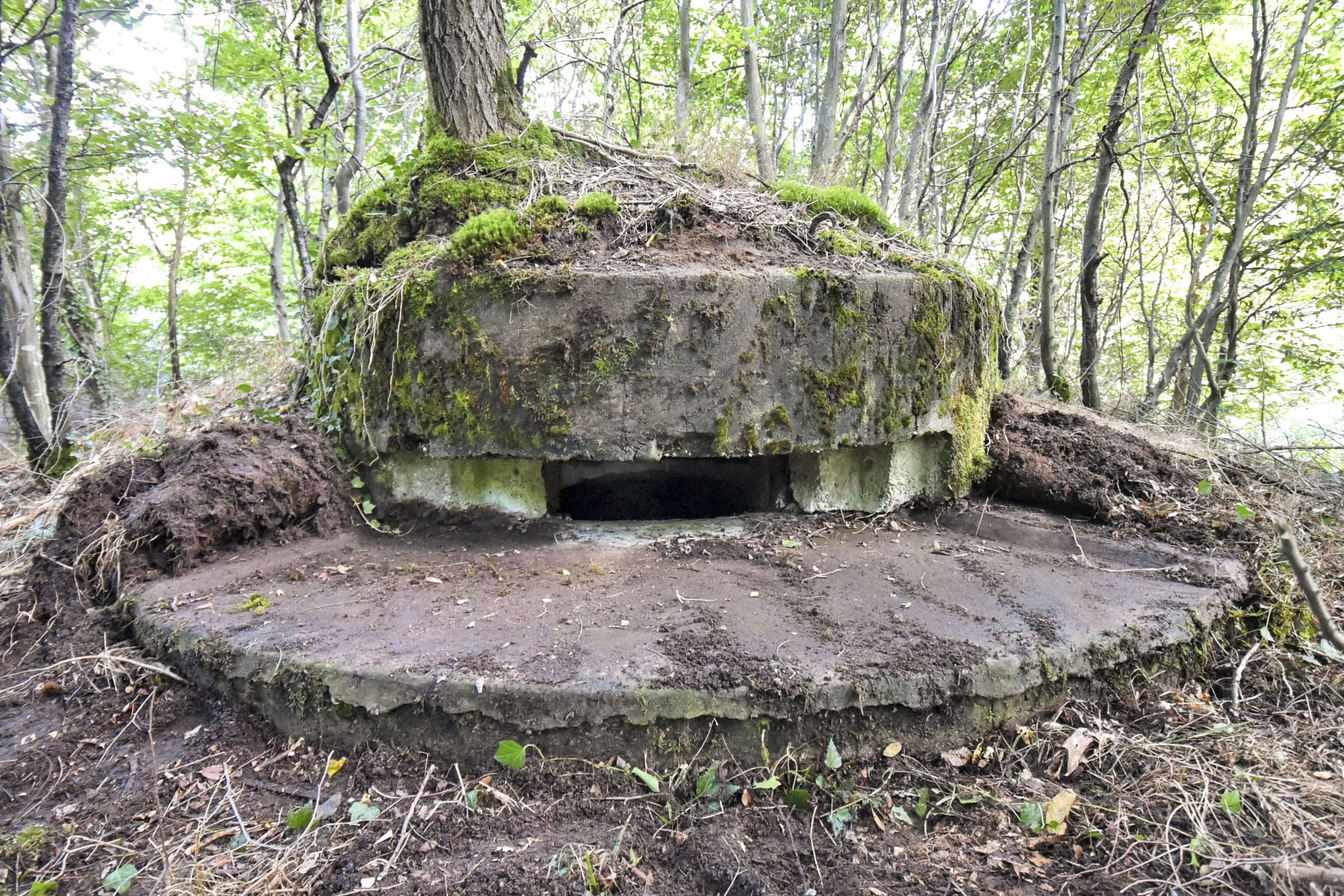 Ligne Maginot - KLOSTERGRABEN 2 - (Blockhaus pour arme infanterie) - 