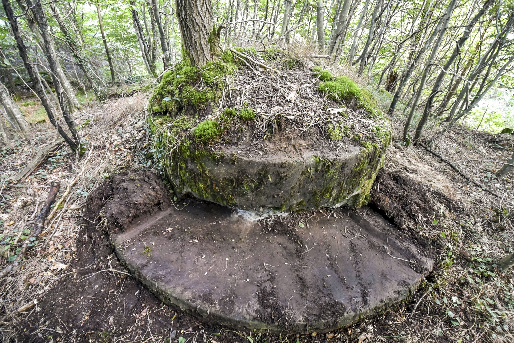 Ligne Maginot - KLOSTERGRABEN 2 - (Blockhaus pour arme infanterie) - 