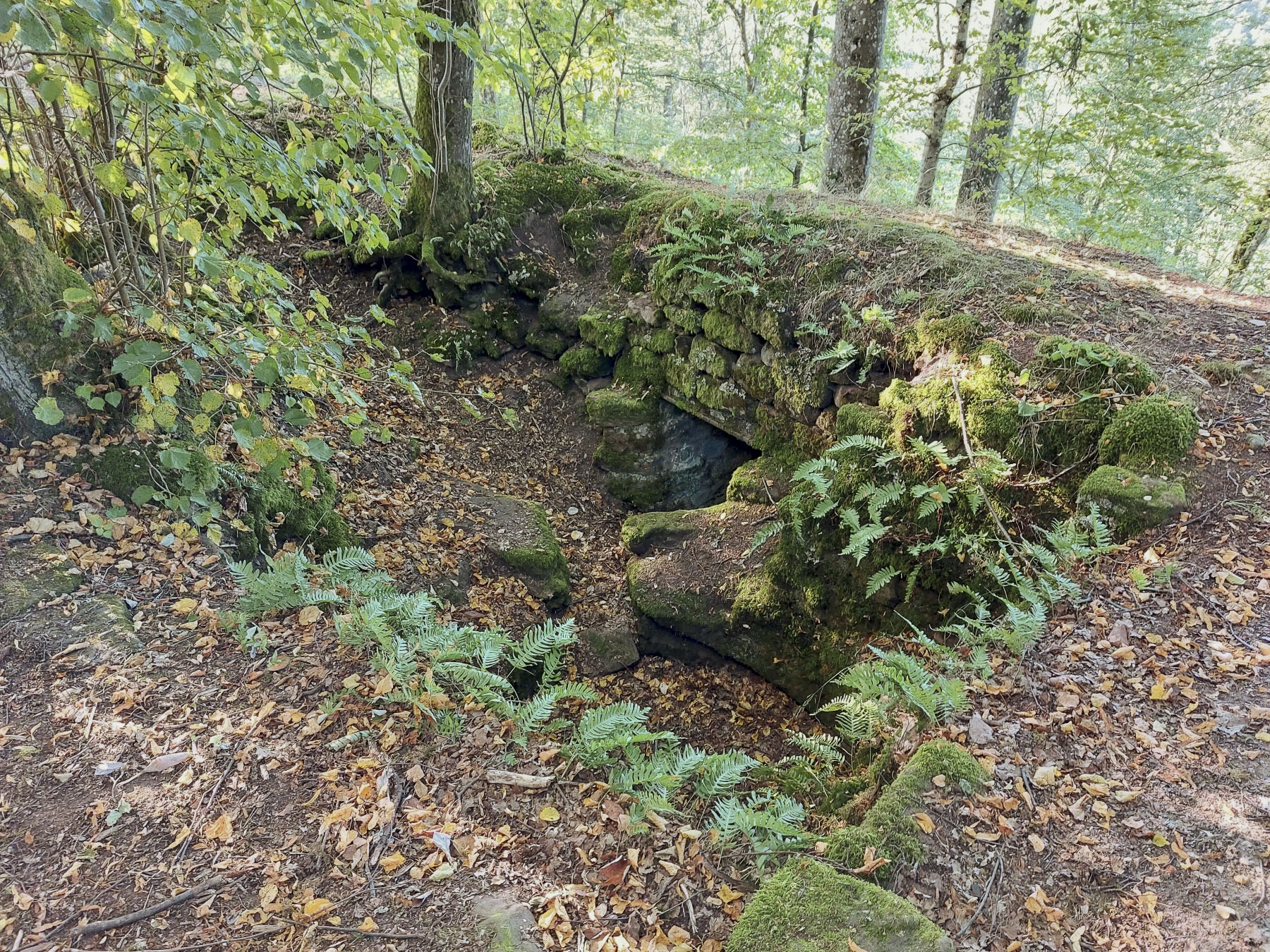 Ligne Maginot - ROTHENBOURG  CHATEAU - (Observatoire d'infanterie) - Le blockhaus mitrailleuse construit dans la ruine qui abritait le puits du château