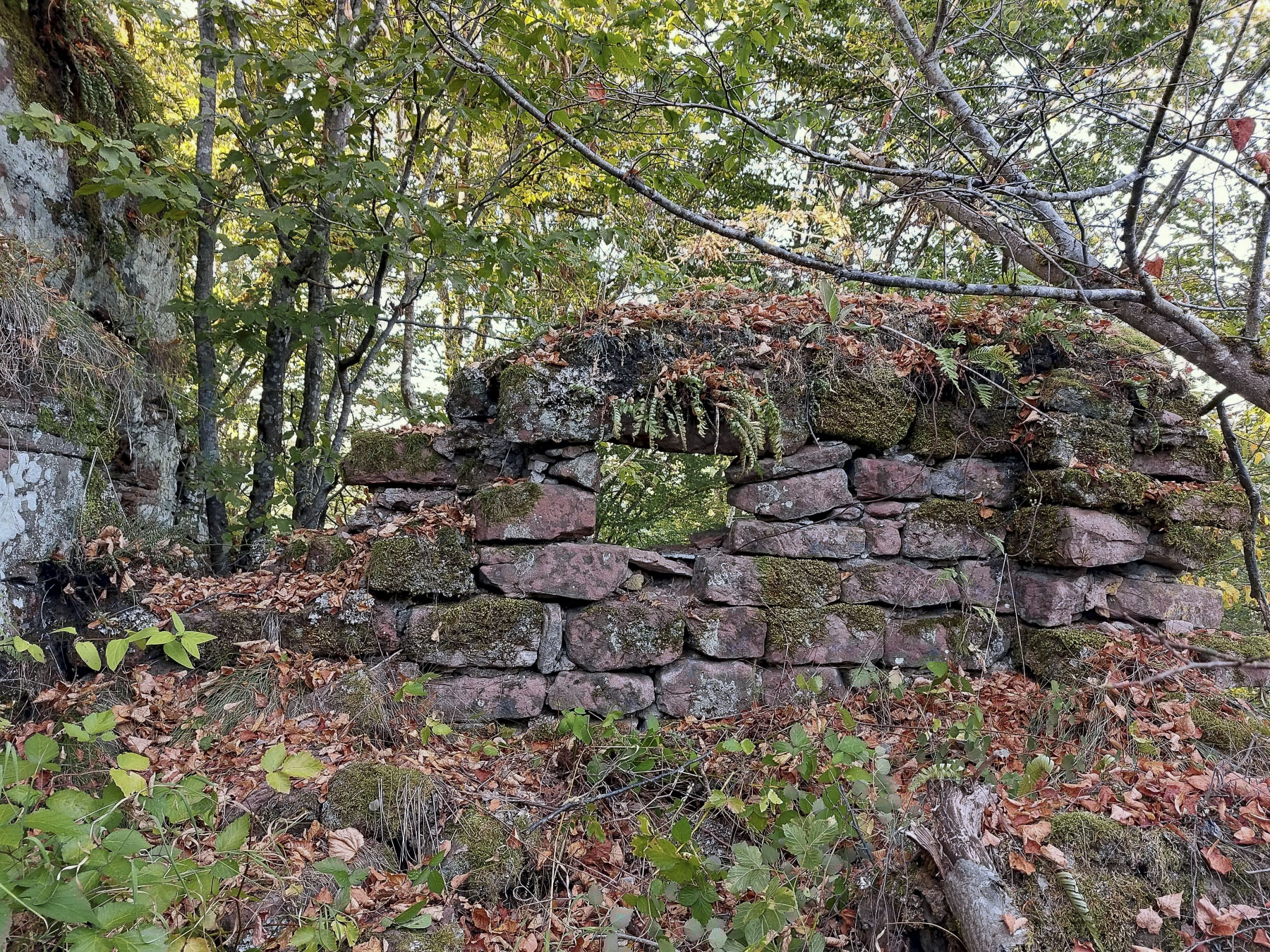 Ligne Maginot - ROTHENBOURG  CHATEAU - (Observatoire d'infanterie) - Observatoire ?