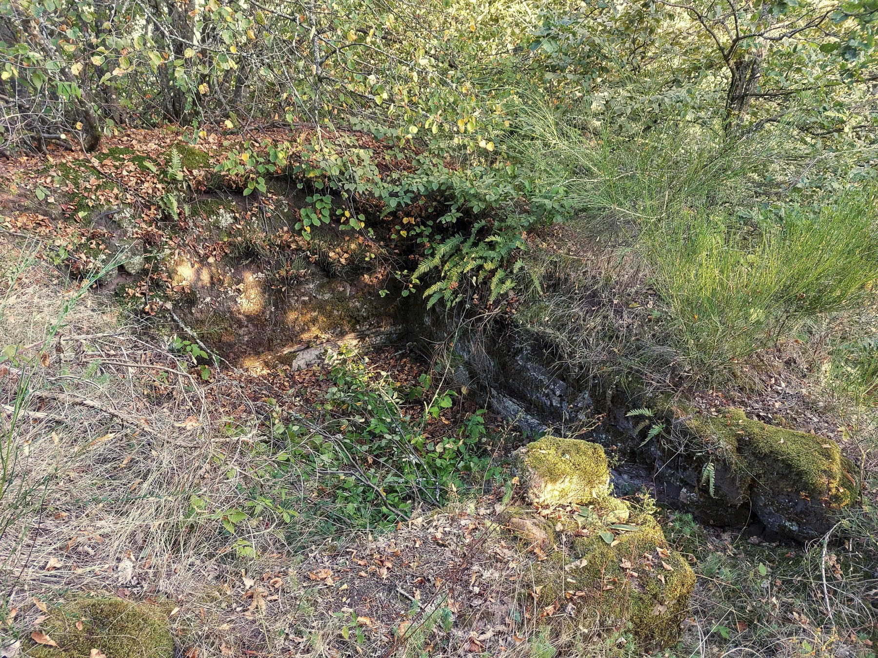 Ligne Maginot - ROTHENBOURG  CHATEAU - (Observatoire d'infanterie) - Abri taillée dans le grès