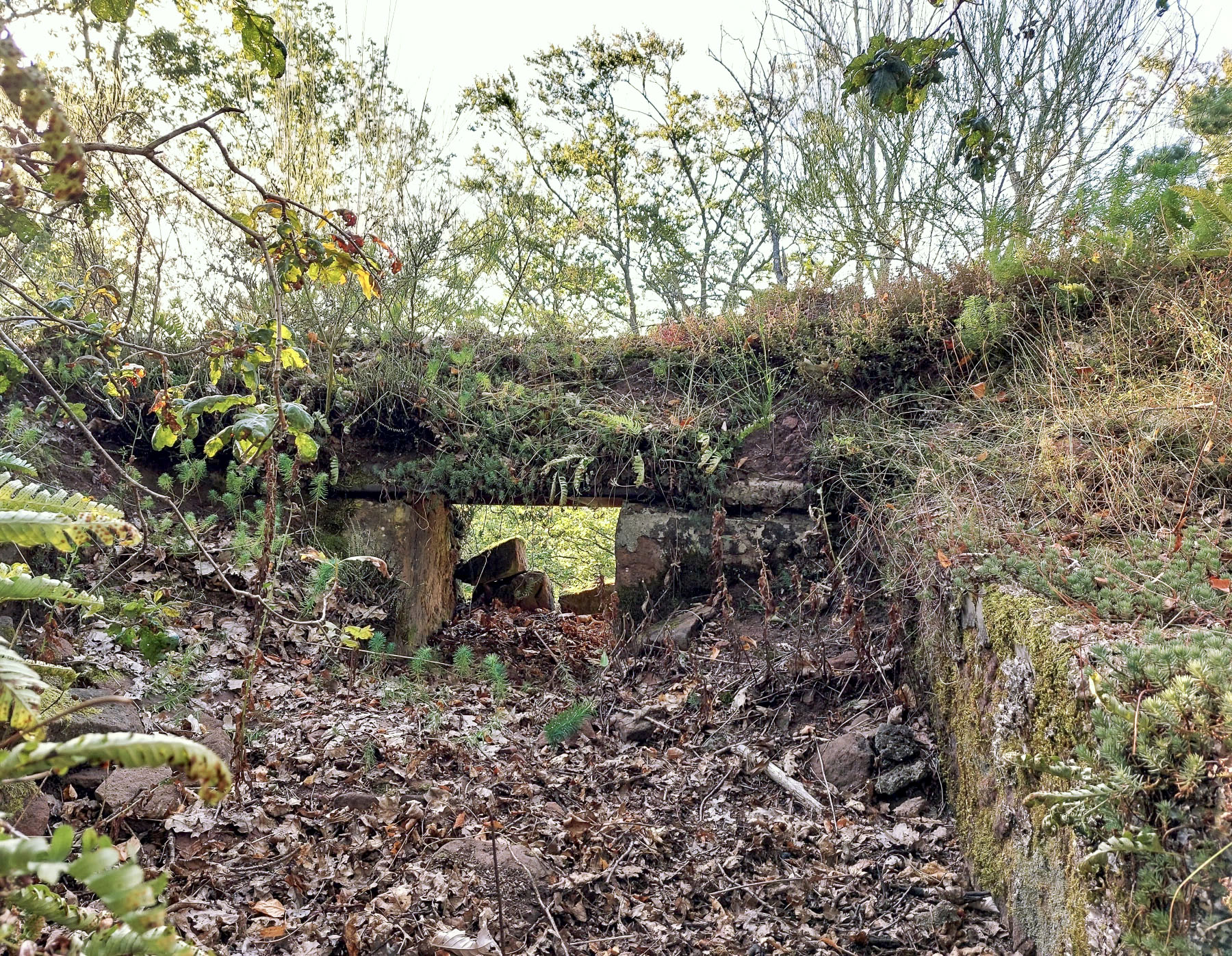 Ligne Maginot - ROTHENBOURG  CHATEAU - (Observatoire d'infanterie) - L'observatoire