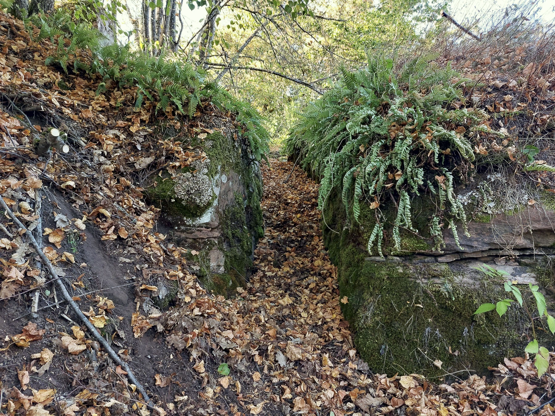 Ligne Maginot - ROTHENBOURG  CHATEAU - (Observatoire d'infanterie) - Tranchée de circulation
