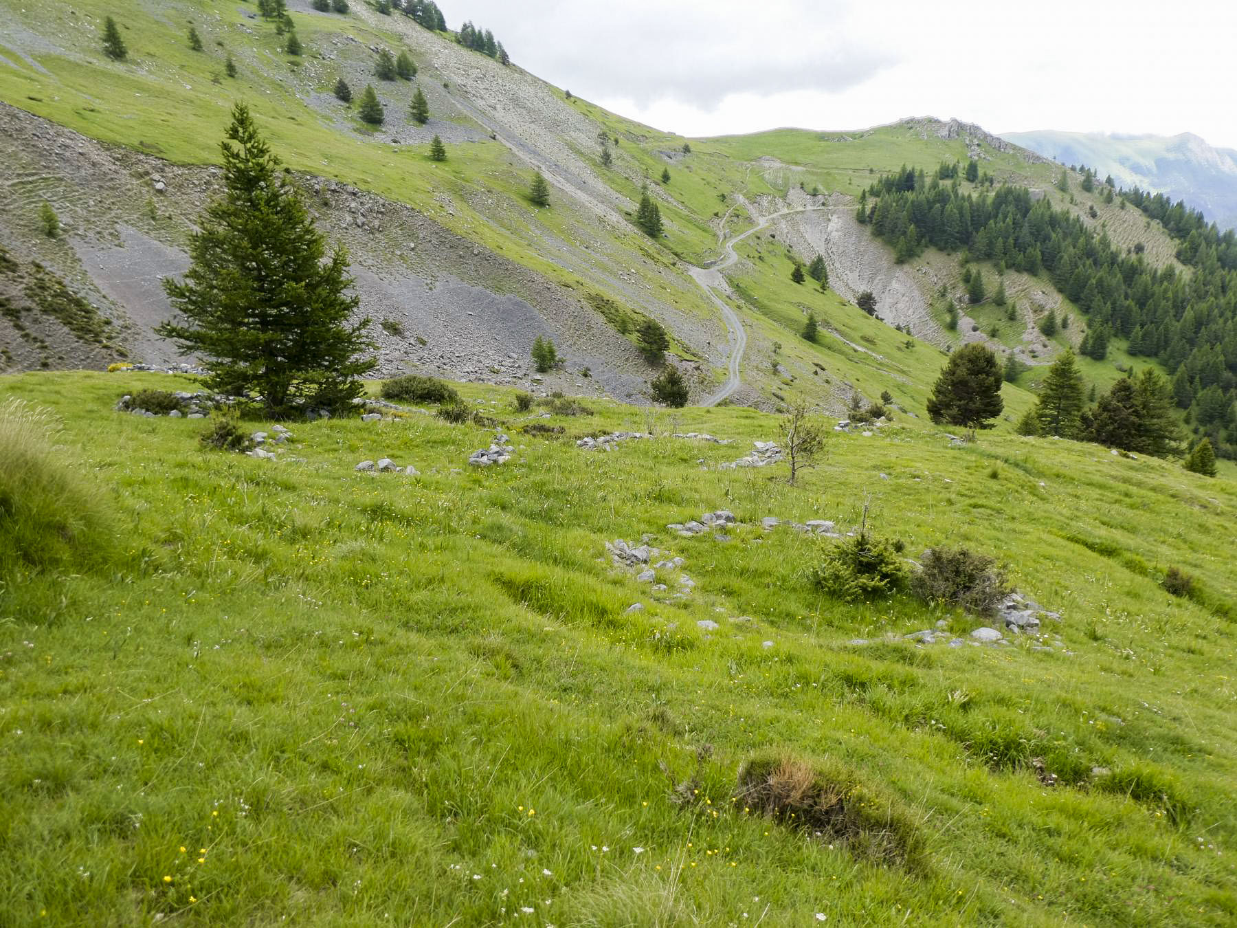 Ligne Maginot - COL DES MOULINÉS - (Divers) - 