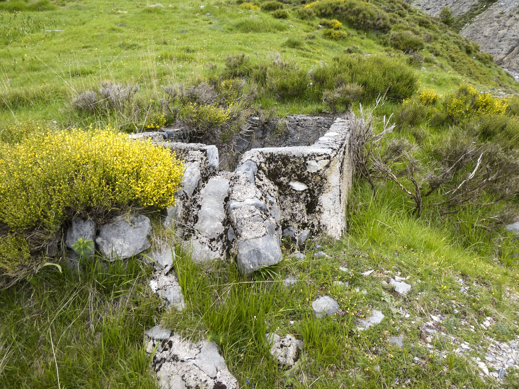 Ligne Maginot - COL DES MOULINÉS - (Divers) - 
