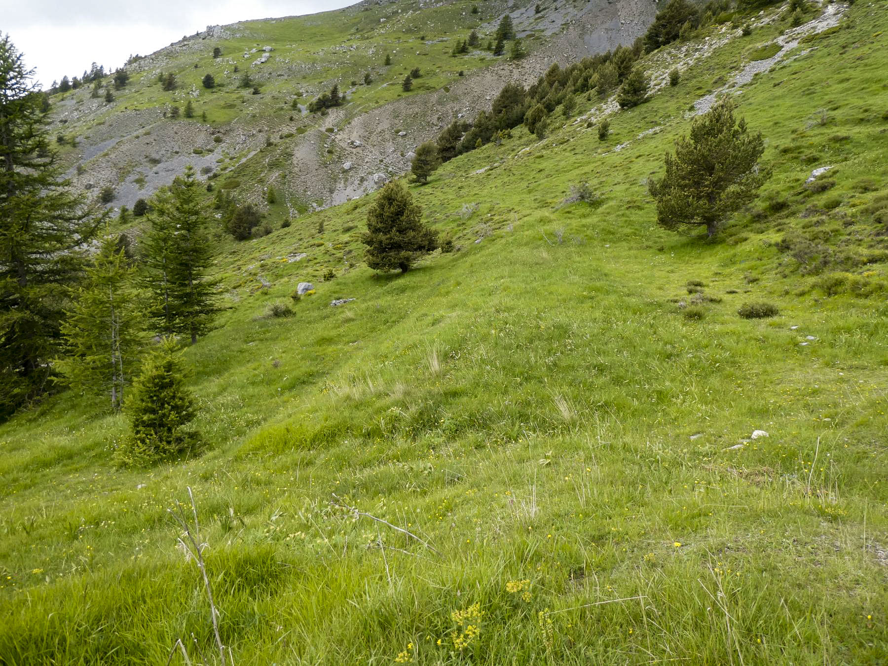 Ligne Maginot - COL DES MOULINÉS - (Divers) - Terrassement