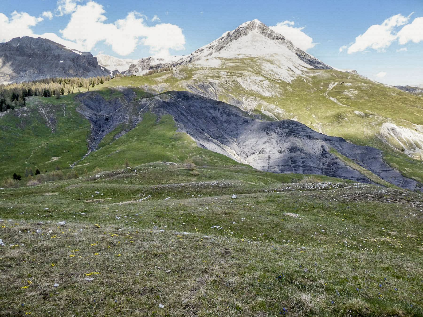 Ligne Maginot - COL DES TRENTE SOUCHES  2 - (Divers) - Trois positions d'infanterie sont étagées sur le versant sud du col