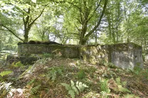 Ligne Maginot - ALLEE DU DEIESLACH 1 - (Blockhaus pour arme infanterie) - 