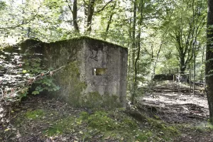 Ligne Maginot - ALLEE DU DEIESLACH 2 - (Blockhaus pour arme infanterie) - Les blockhaus sont proches les uns des autres