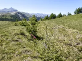 Ligne Maginot - MONT PENAFAYSSE - La position d'infanterie