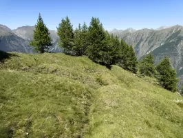 Ligne Maginot - MONT PENAFAYSSE - La position d'infanterie