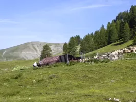 Ligne Maginot - VACHERIE DE ROURE - (Abri) - Abri 2